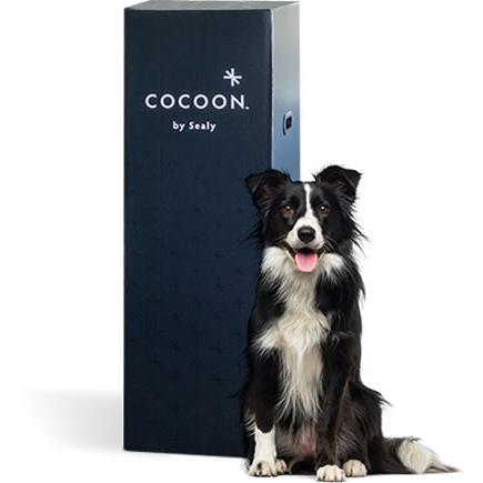 Sealy Cocoon Soft Mattress (Queen) - Image 3