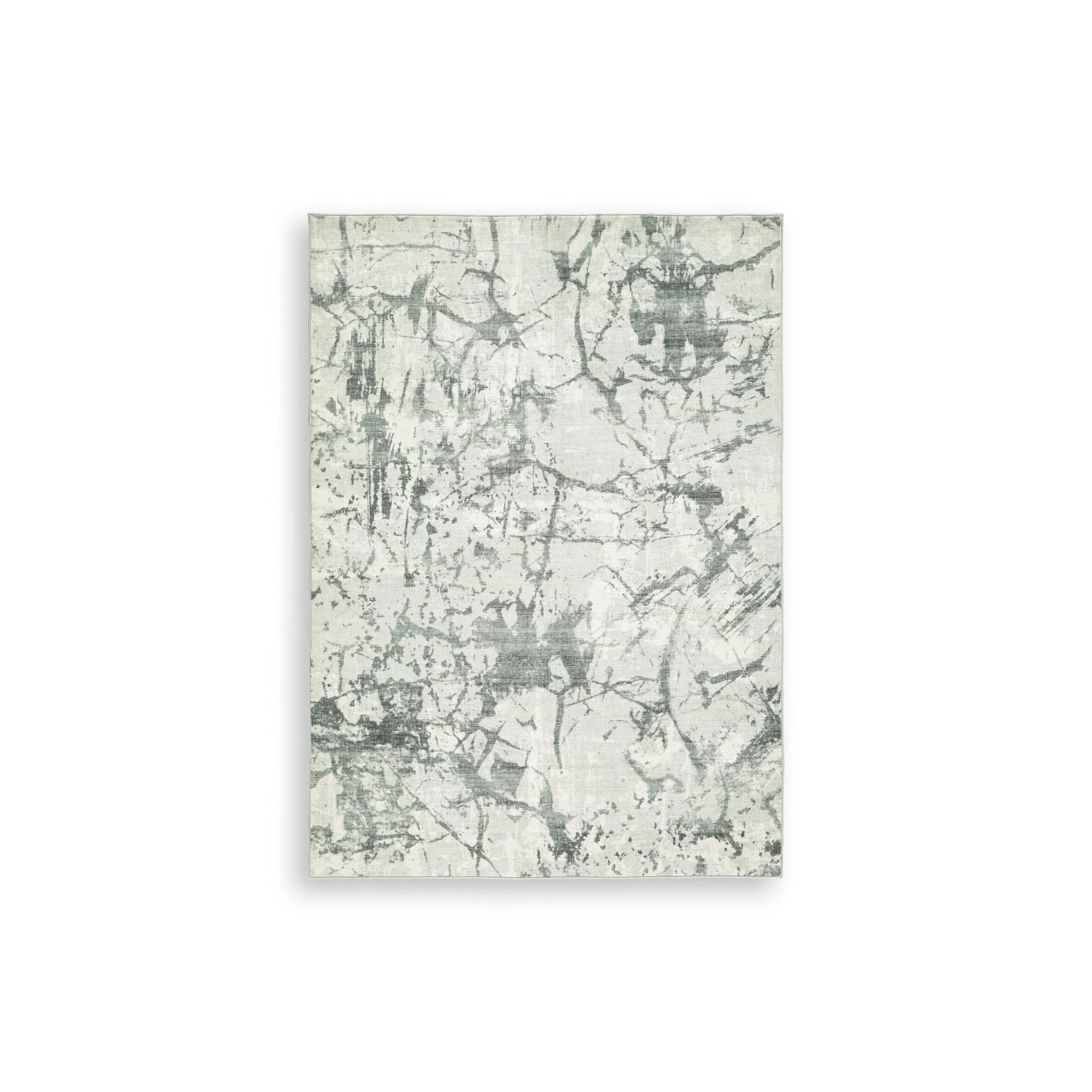 Signature Design by Ashley Tobinbury R407422 Washable Medium Rug